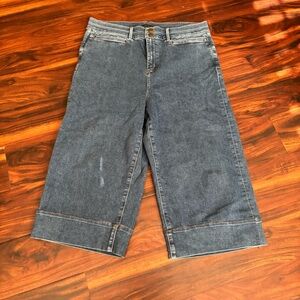 Ann Taylor Blue Denim Wide Leg Cropped Jeans